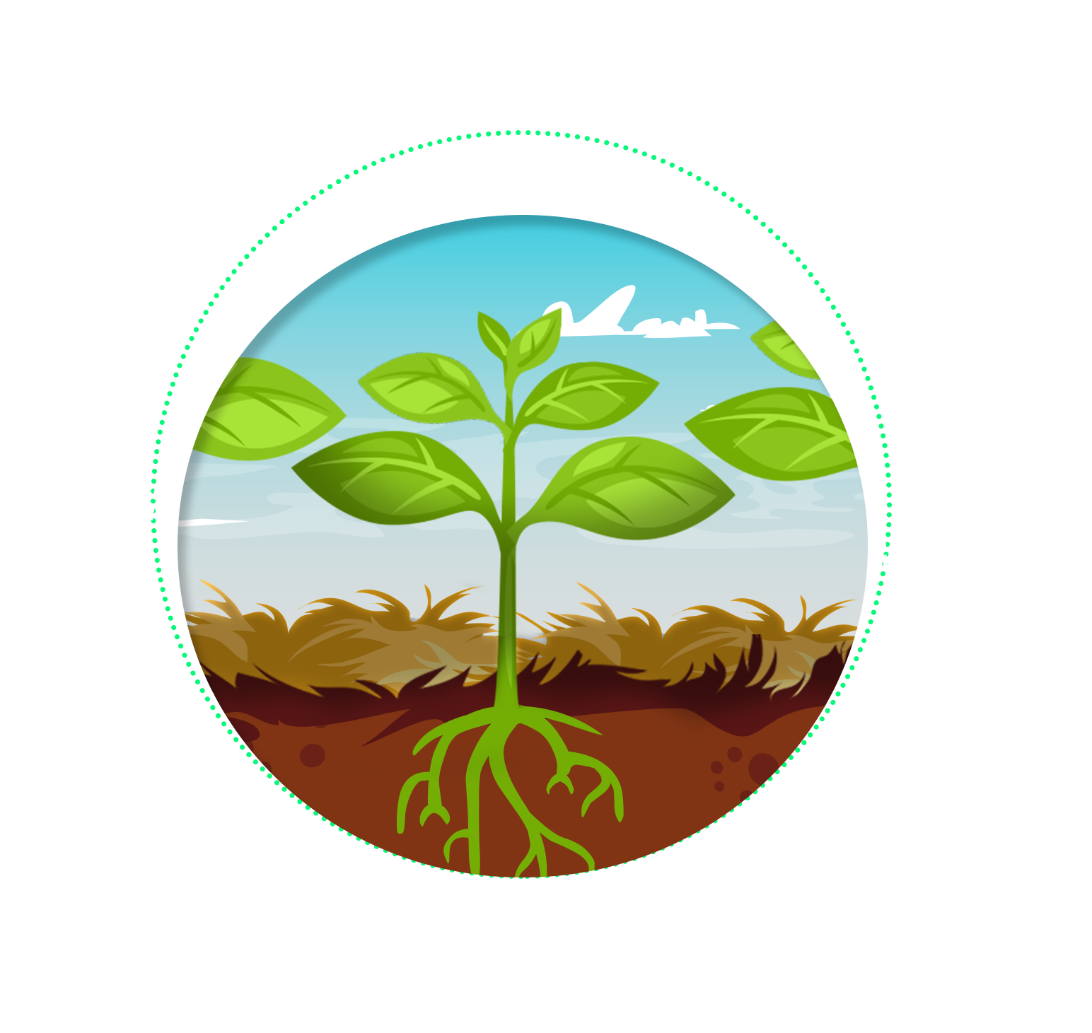 Fundo verde com plantas